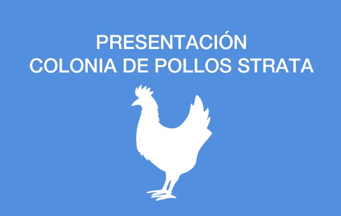 Puede observar la presentación pulsando sobre las flechas de los costados o pulsando sobre los círculos que se encuentran en la parte superior de la imagen. Si dese visitar alguna granja para ver funcionando nuestros equipos póngase en contacto con nosotros.