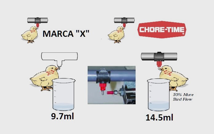Cuando hacemos la evaluación con la prueba de flujo dinámico, el bebedero Chore Time proporciona mucha más agua al pollo. Sin arriesgar la cama. 