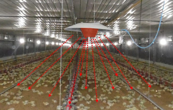 Nuestra criadora radiante ahorra mucho gas por no desperdiciar energía calentando primero el aire sino proyectando el calor instantáneamente al pollito.Esta habilidad contribuye también a que el pollito desarrolle sus intestinos al máximo por proveer el calor instantáneamente cuando el pollito lo necesita. La conversión con esto mejora notablemente. 