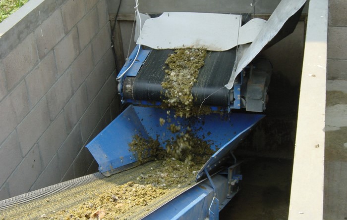 SALDA DEL GALPÓN - La banda transversal saca la gallinaza del galpón a un elevador.